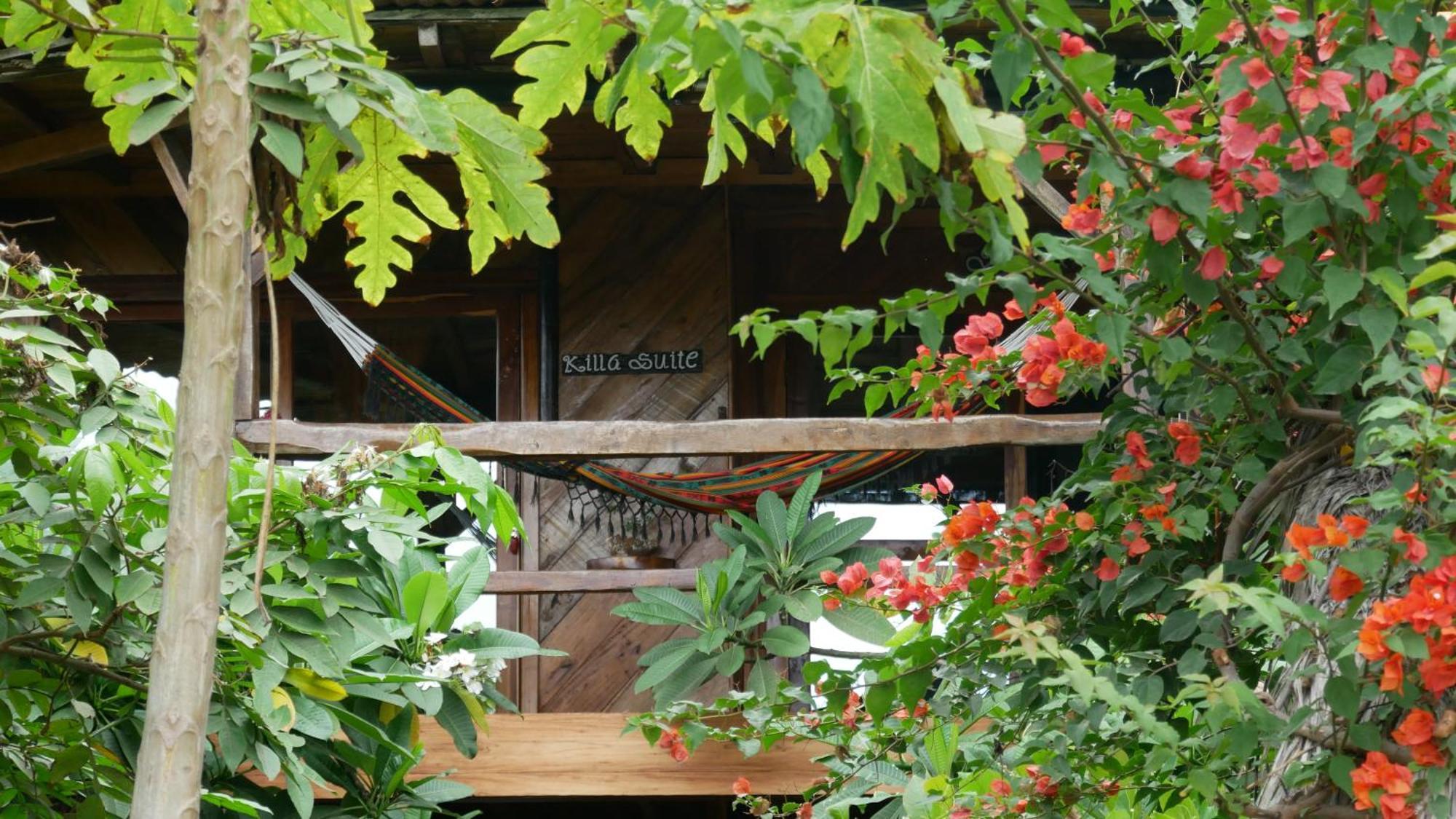Vistamar Guest House Ayampe Zewnętrze zdjęcie